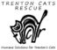 Trenton Cats Rescue